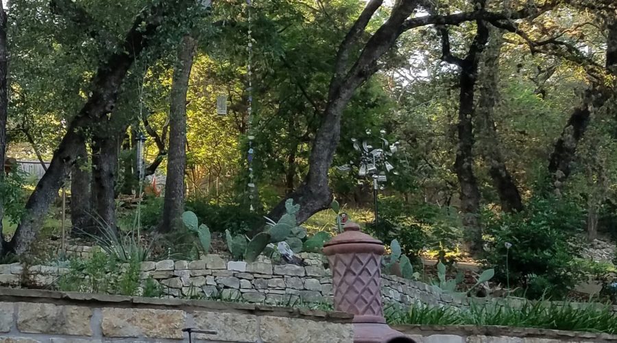 Texas Hill country backyard