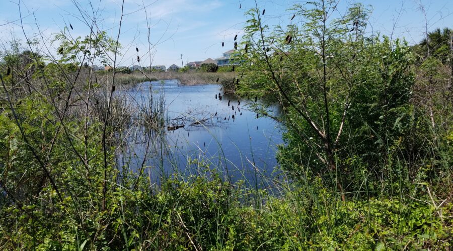 Lafitte's Cove Nature Preserve