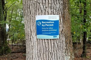 A Picnic at Ashokan Reservoir