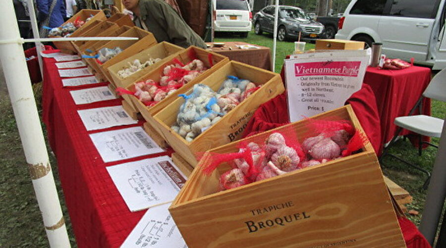 Hudson River Valley Garlic Festival