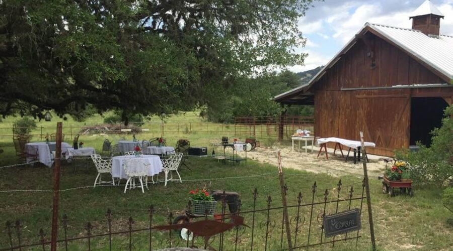 A Texas Hill Country Picnic