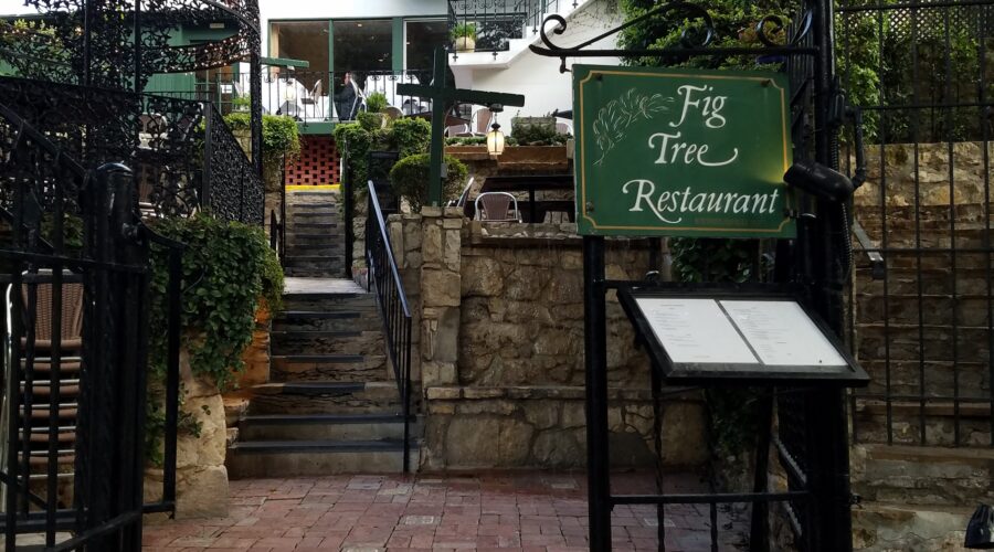 San Antonio – The Fig Tree Restaurant