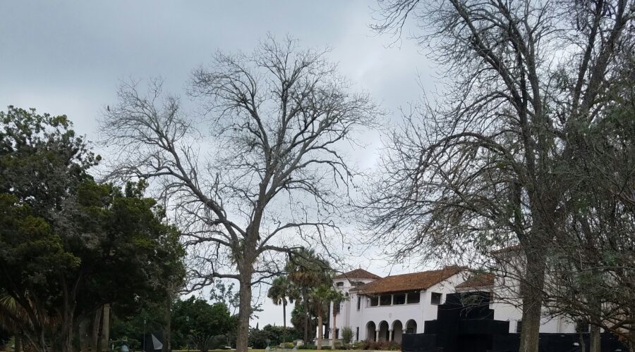 San Antonio – McNay Art Museum