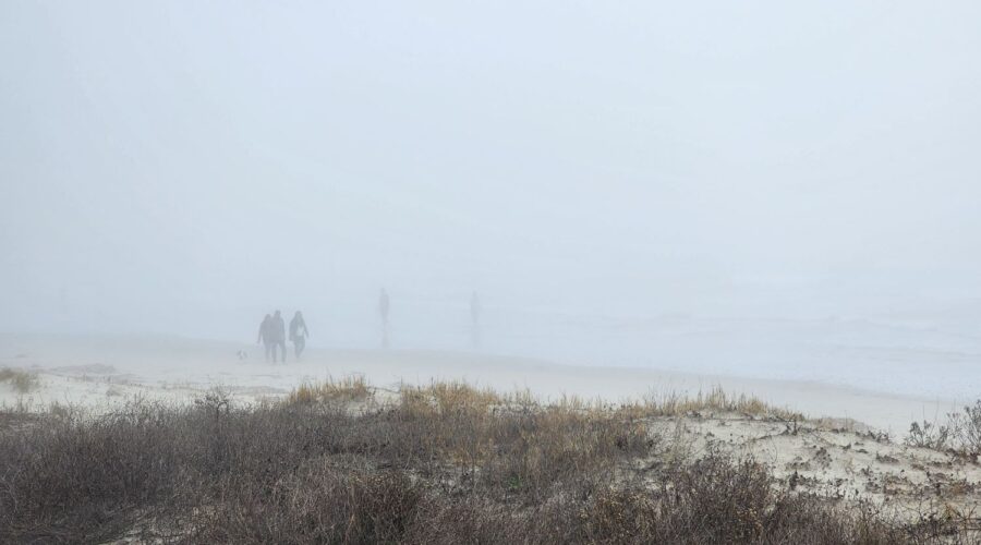 A Walk in the Fog